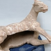 restauratie tang paard 2.jpg